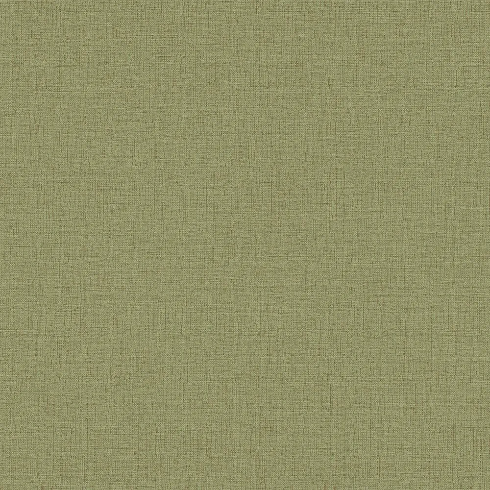 Green Embossed Wallpaper – Contemporary Elegance (3707-6)